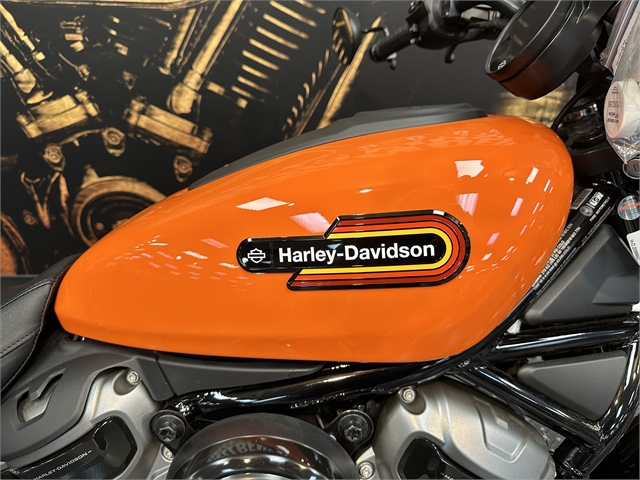 2024 Harley-Davidson Sportster Nightster Special at Hellbender Harley-Davidson