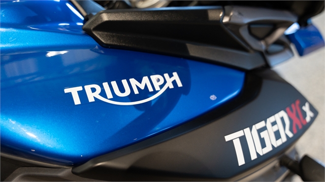 2016 Triumph Tiger 800 XCx Low at Motoprimo Motorsports