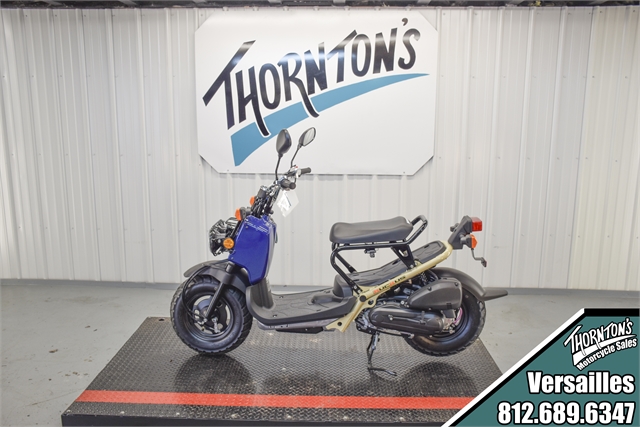 2023 Honda Ruckus Base at Thornton's Motorcycle - Versailles, IN