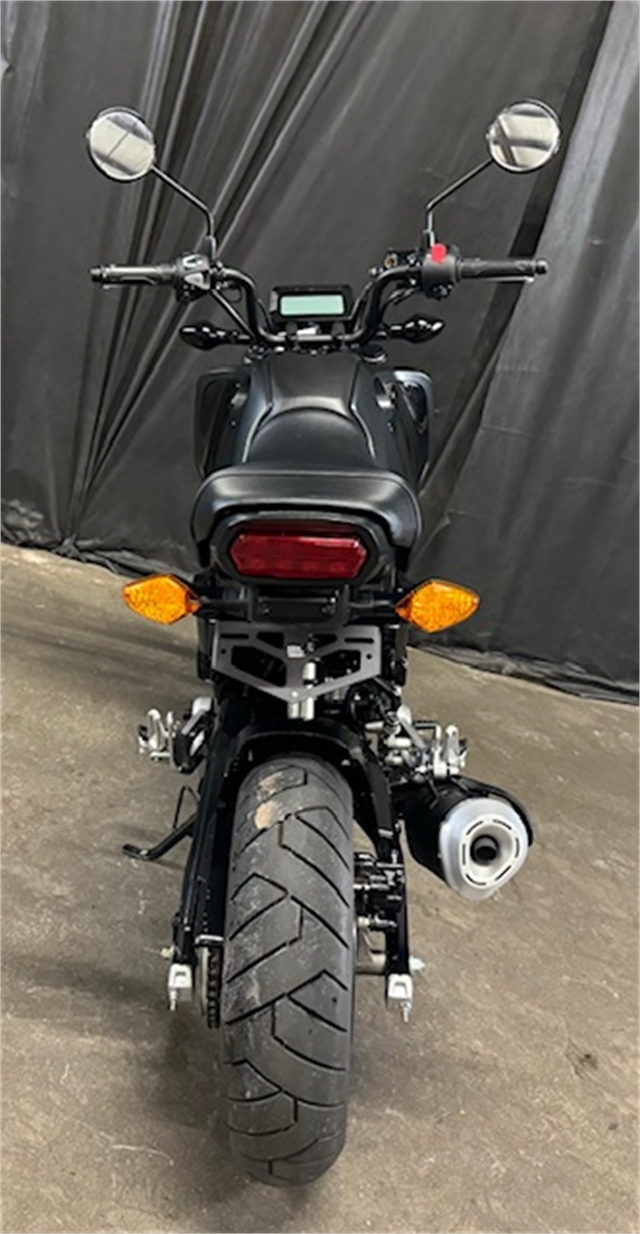 2023 Honda Grom Base at Powersports St. Augustine