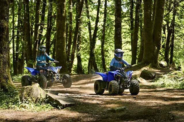 2024 Yamaha YFZ 50 at ATVs and More