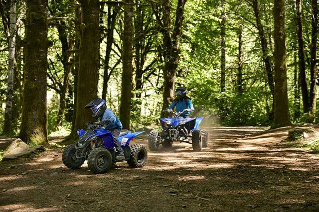 2024 Yamaha YFZ 50 at ATVs and More