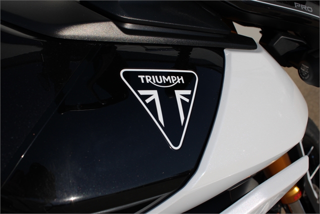 2025 Triumph Tiger 900 Rally Pro at Eurosport Cycle