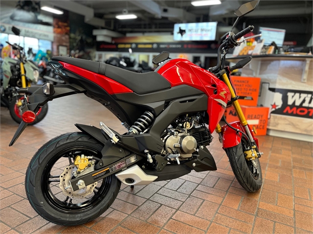 2023 Kawasaki Z125 Pro 