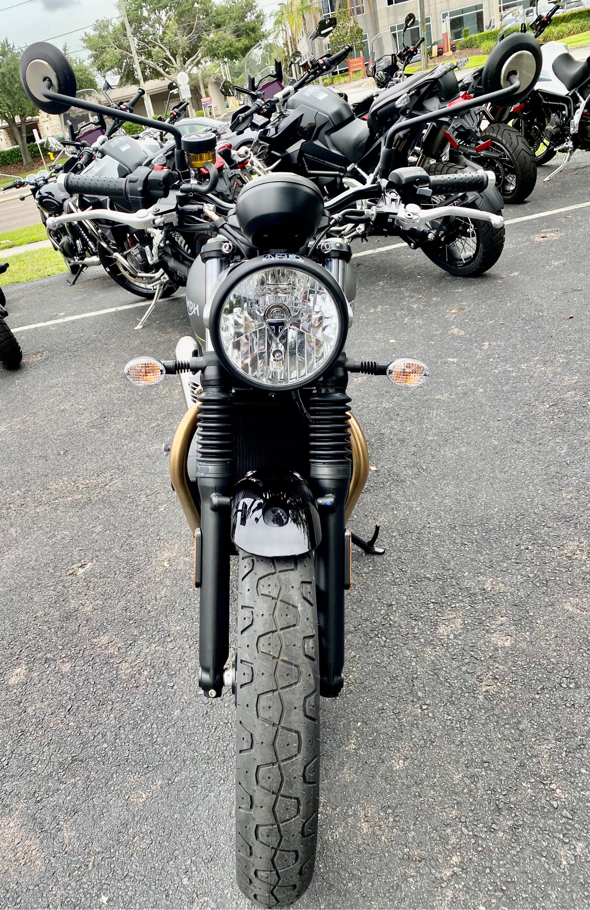 2023 Triumph Speed Twin 900 Base at Tampa Triumph, Tampa, FL 33614