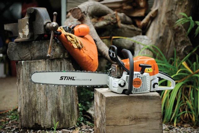 2024 STIHL MS362/25 at McKinney Outdoor Superstore