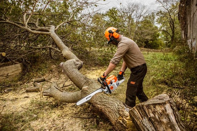 2025 STIHL MS362/25 at McKinney Outdoor Superstore