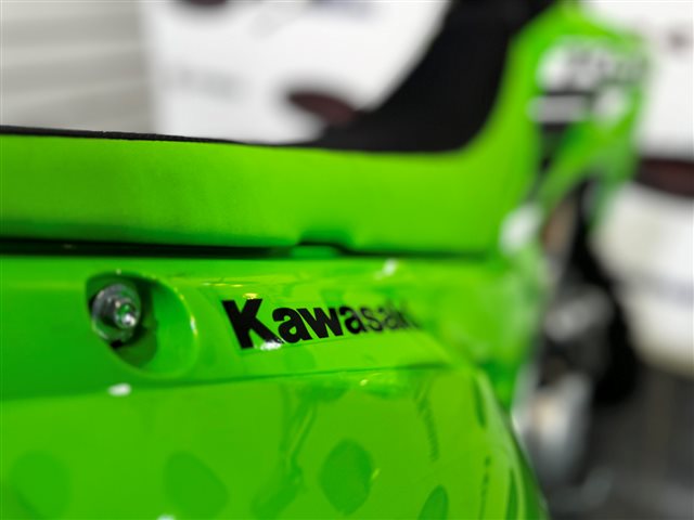 2025 Kawasaki KLX 230R S at Cycle Max