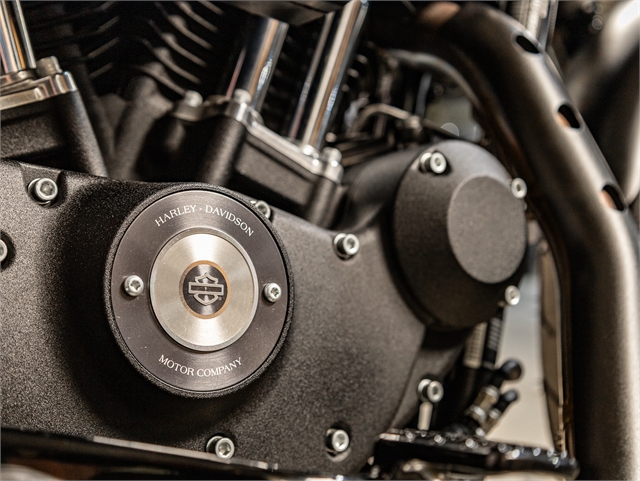 2021 Harley-Davidson Iron 883' Iron 883 at Friendly Powersports Slidell
