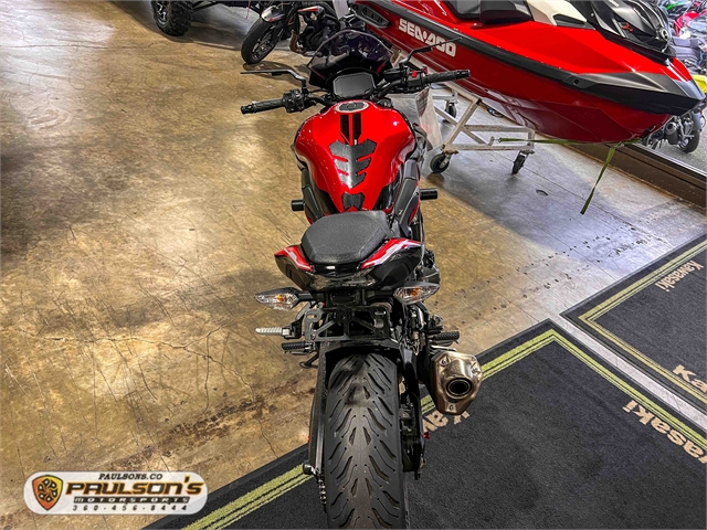 2024 Kawasaki Z900 ABS at Paulson's Motorsports