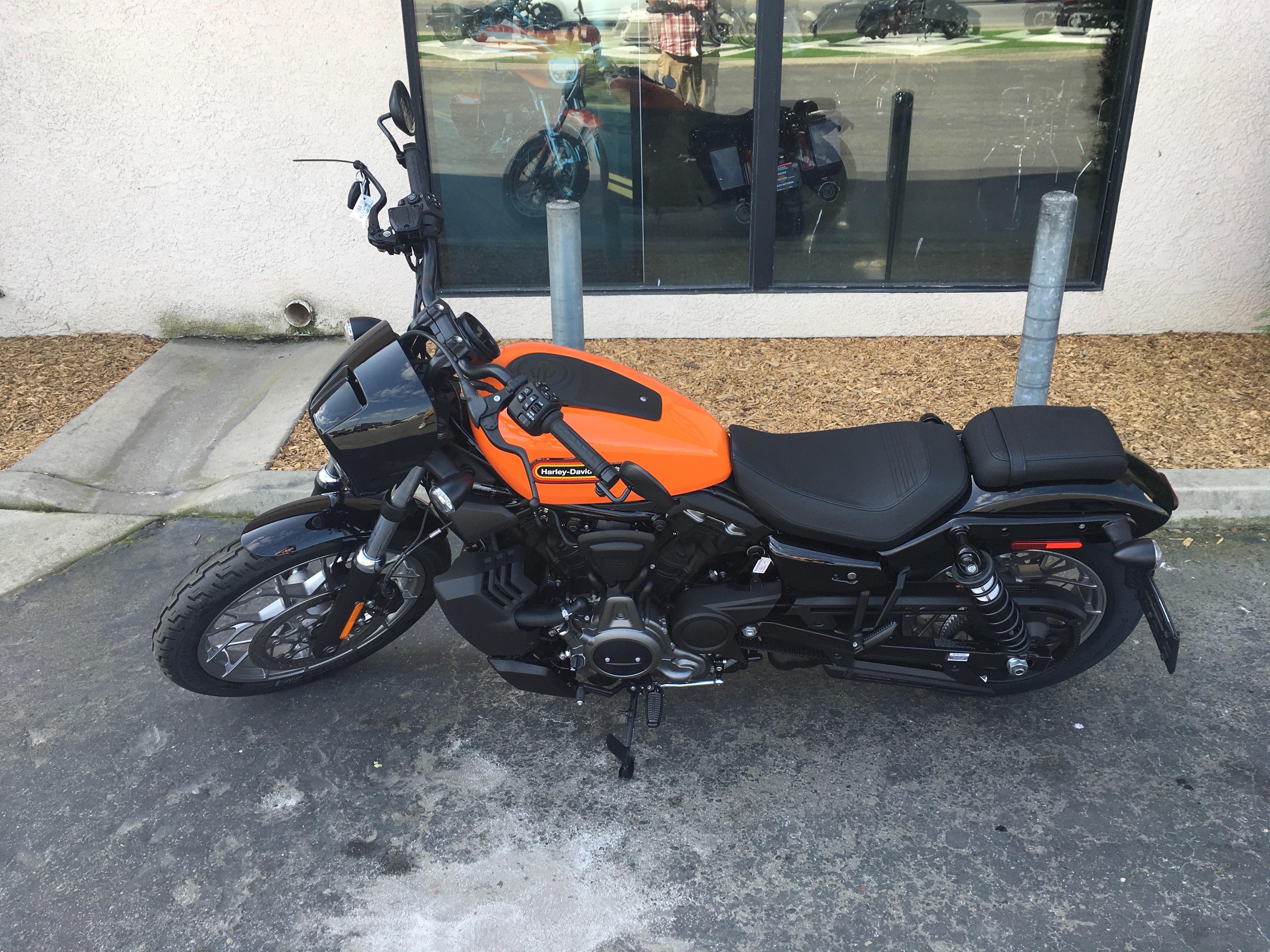 2024 Harley-Davidson Sportster Nightster Special at Fresno Harley-Davidson