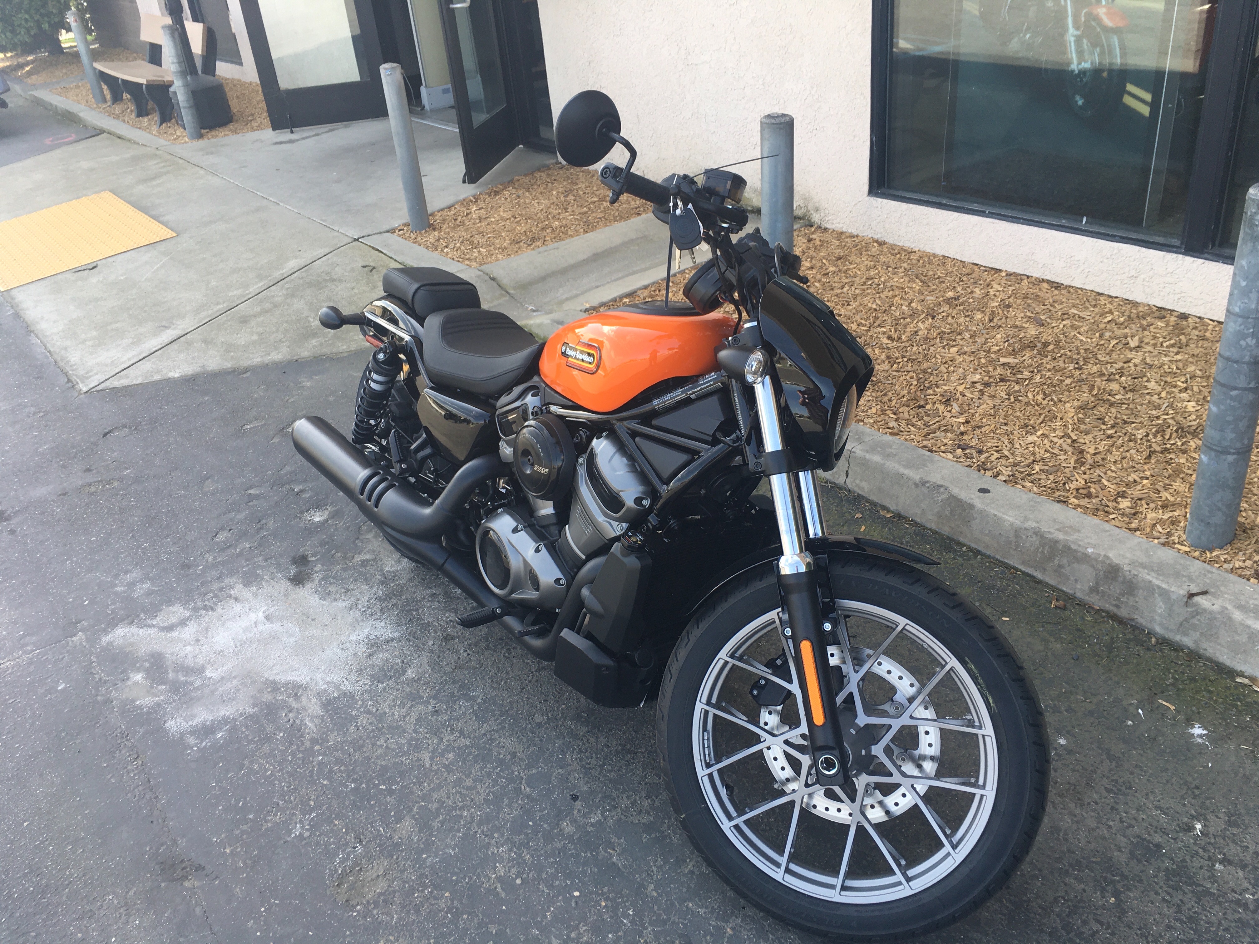 2024 Harley-Davidson Sportster Nightster Special at Fresno Harley-Davidson