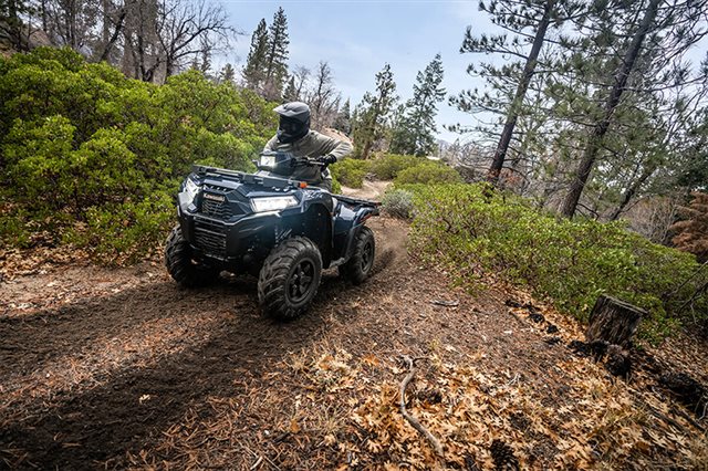 2024 Kawasaki Brute Force 750 EPS at Big River Motorsports