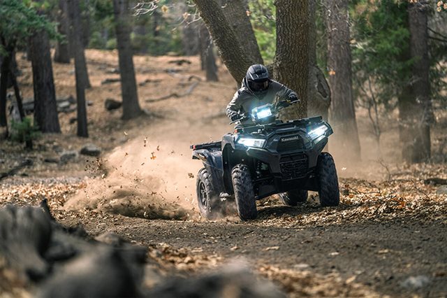 2024 Kawasaki Brute Force 750 EPS at Big River Motorsports