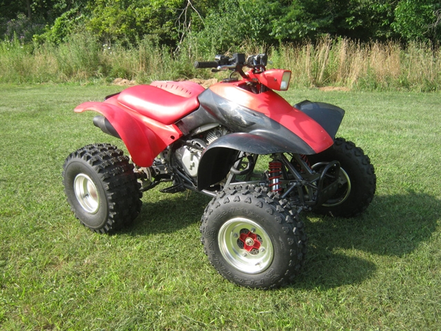 2001 Honda TRX300EX | Brenny's Motorcycle Clinic