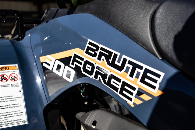2024 Kawasaki Brute Force 300 at Friendly Powersports Slidell