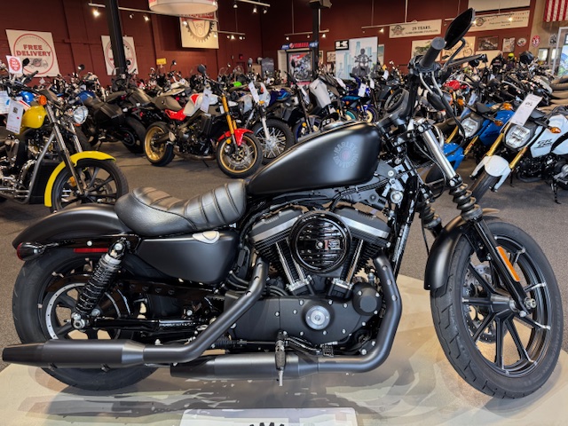 2021 Harley-Davidson Iron 883' at Martin Moto