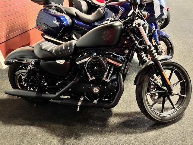 2021 Harley-Davidson Iron 883' at Martin Moto