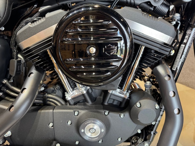 2021 Harley-Davidson Iron 883' at Martin Moto