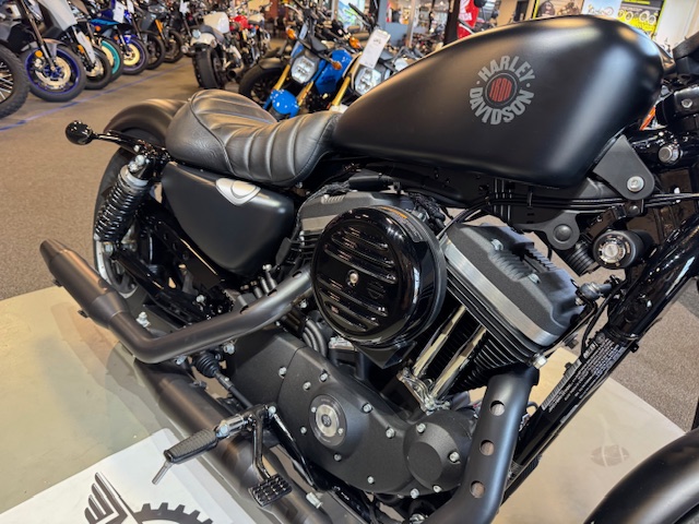 2021 Harley-Davidson Iron 883' at Martin Moto