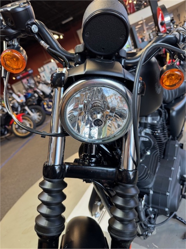 2021 Harley-Davidson Iron 883' at Martin Moto