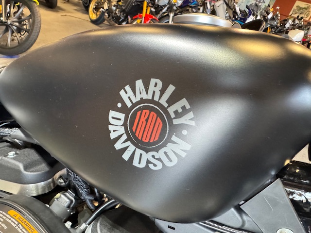 2021 Harley-Davidson Iron 883' at Martin Moto