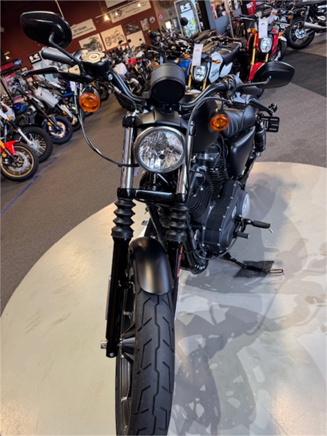 2021 Harley-Davidson Iron 883' at Martin Moto