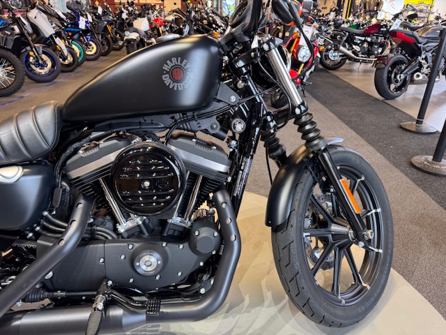 2021 Harley-Davidson Iron 883' at Martin Moto