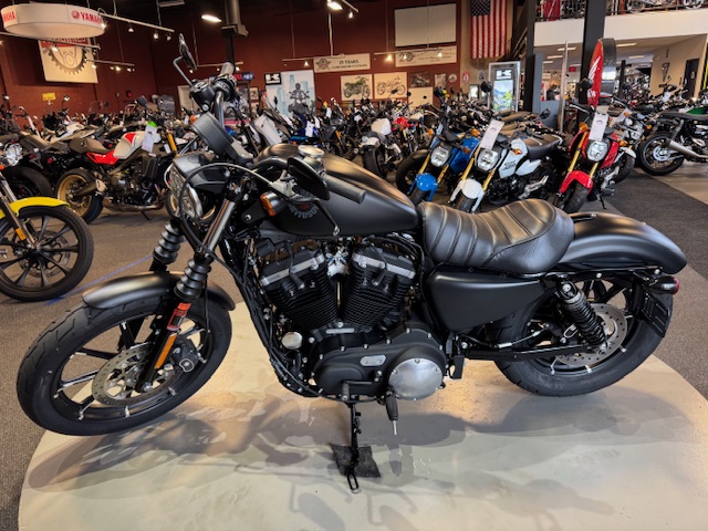 2021 Harley-Davidson Iron 883' at Martin Moto