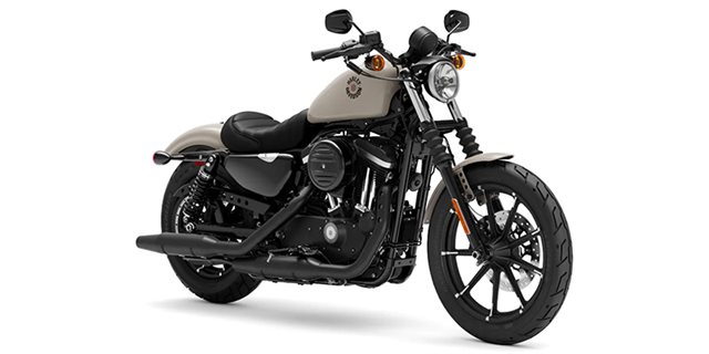 2022 Harley-Davidson Sportster Iron 883 at Laredo Harley Davidson