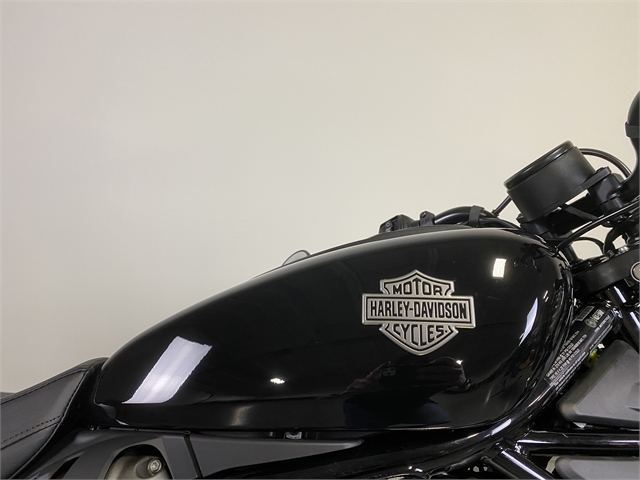 2023 Harley-Davidson Sportster Nightster at Worth Harley-Davidson