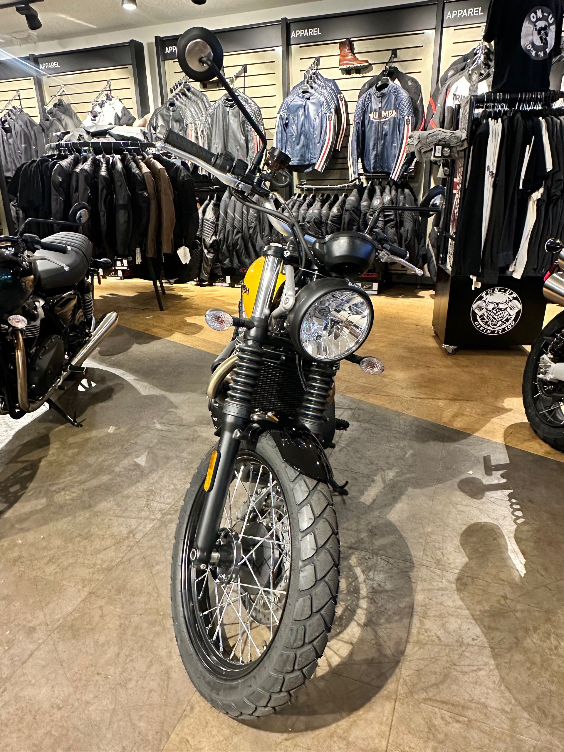 2024 Triumph Scrambler 900 Base at Tampa Triumph, Tampa, FL 33614