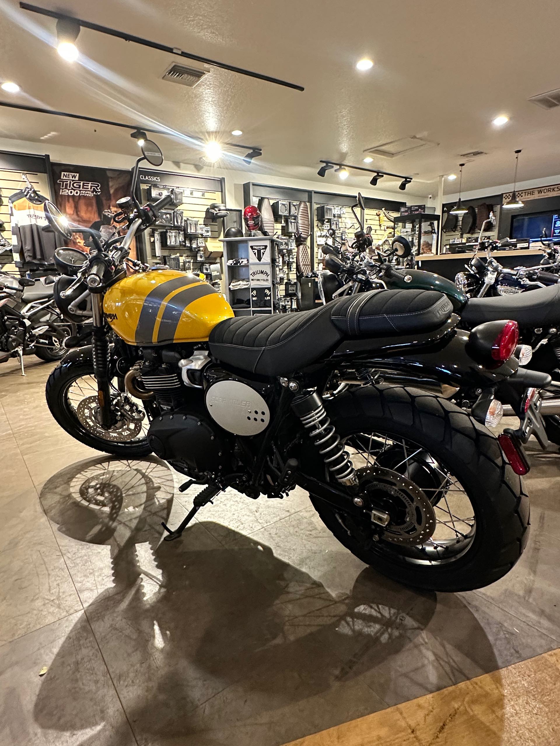 2024 Triumph Scrambler 900 Base at Tampa Triumph, Tampa, FL 33614