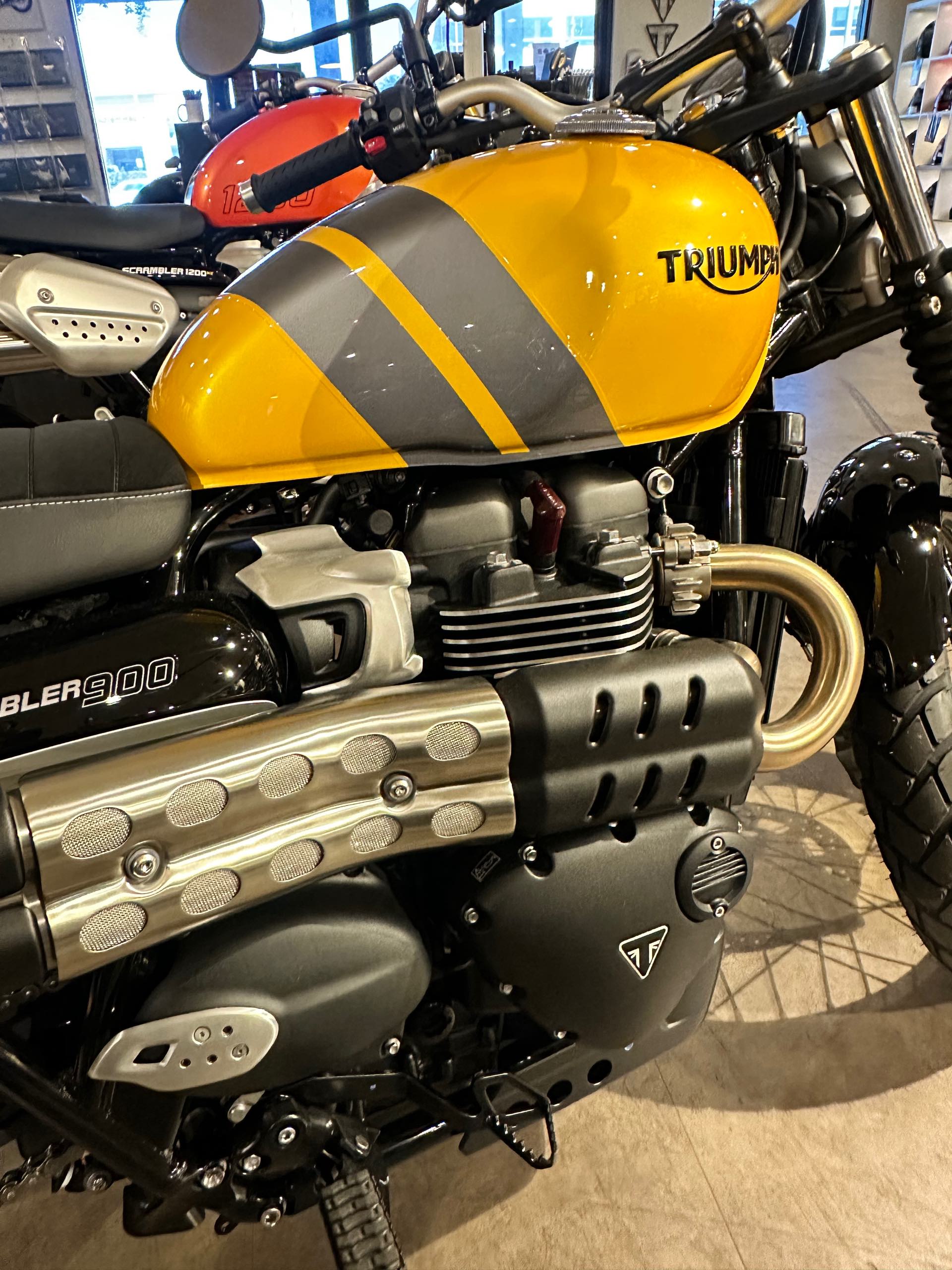 2024 Triumph Scrambler 900 Base at Tampa Triumph, Tampa, FL 33614