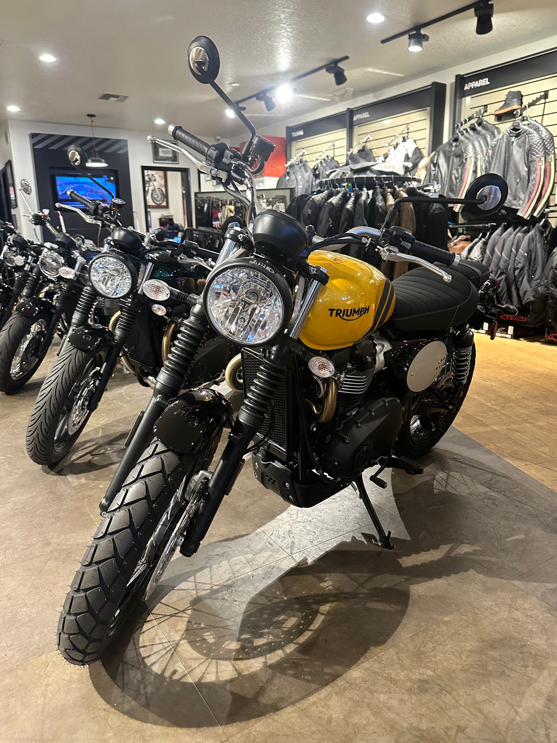 2024 Triumph Scrambler 900 Base at Tampa Triumph, Tampa, FL 33614