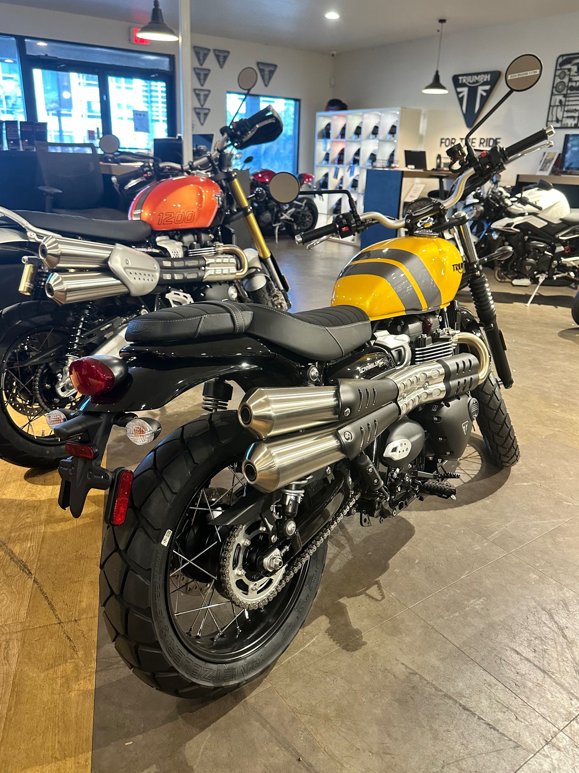 2024 Triumph Scrambler 900 Base at Tampa Triumph, Tampa, FL 33614