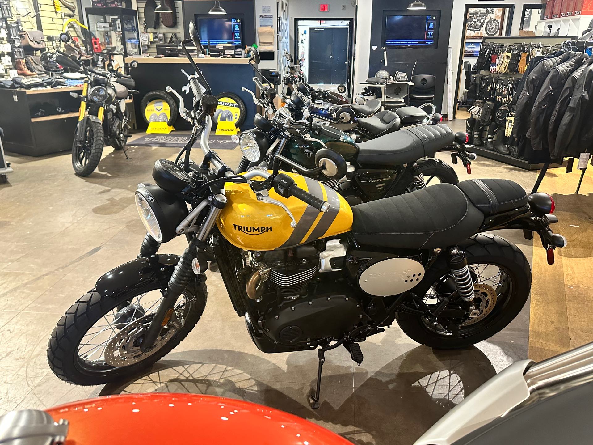 2024 Triumph Scrambler 900 Base at Tampa Triumph, Tampa, FL 33614