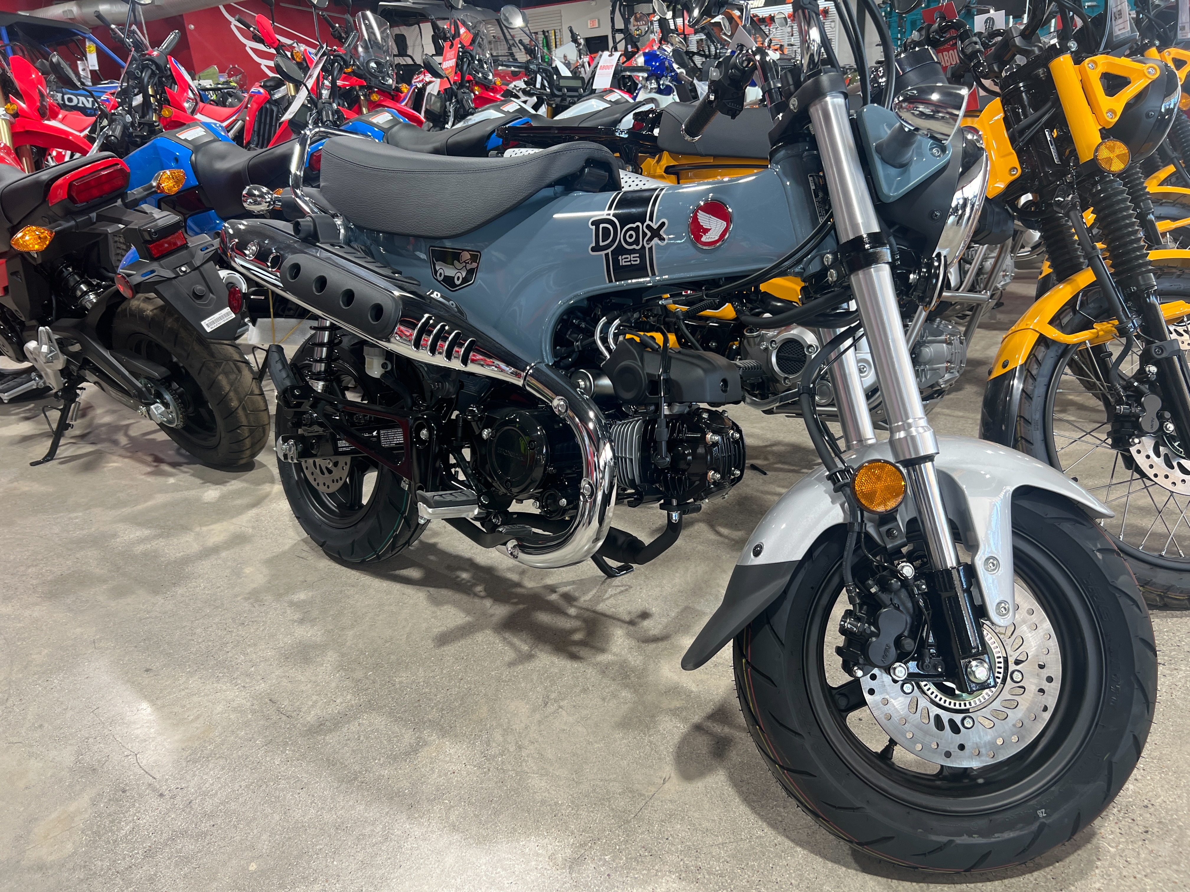 2025 Honda Dax 125 at Wise Honda