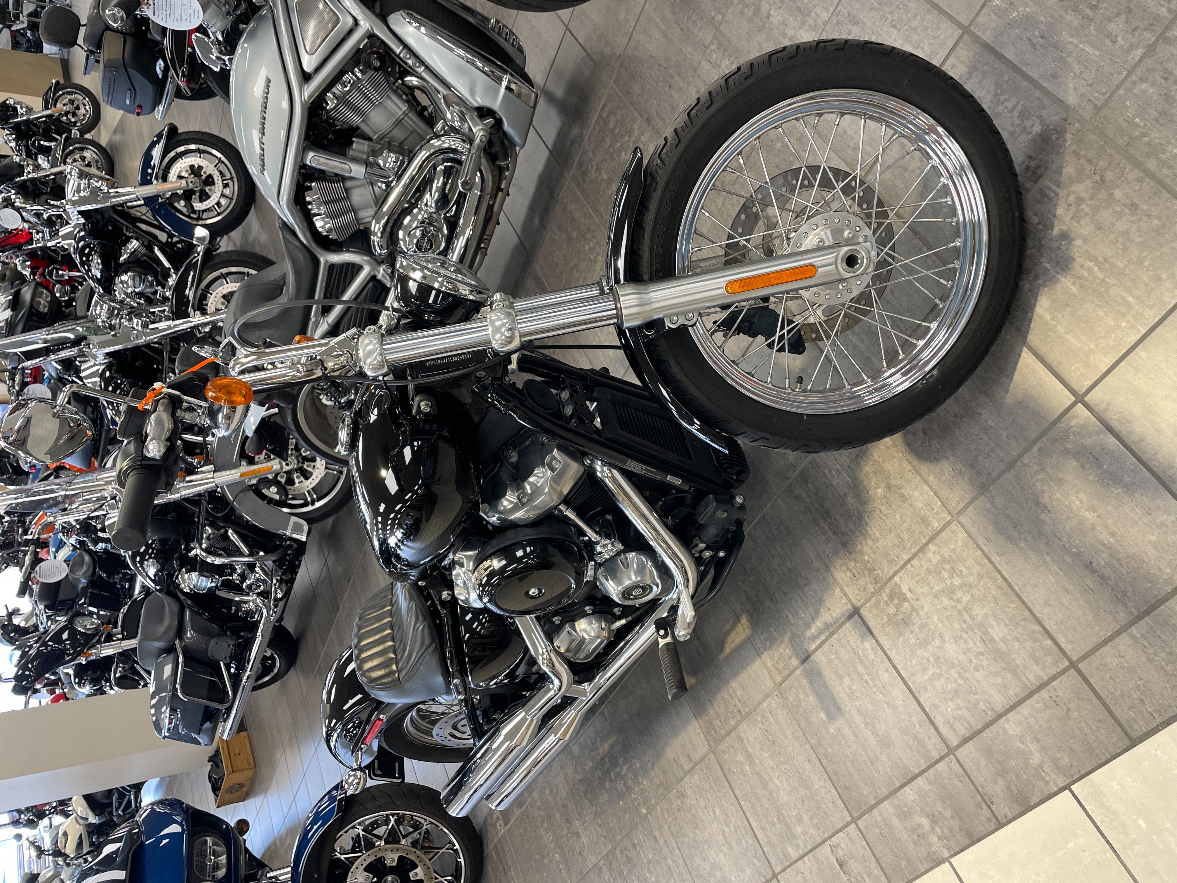 2020 Harley-Davidson Softail Standard at Tripp's Harley-Davidson