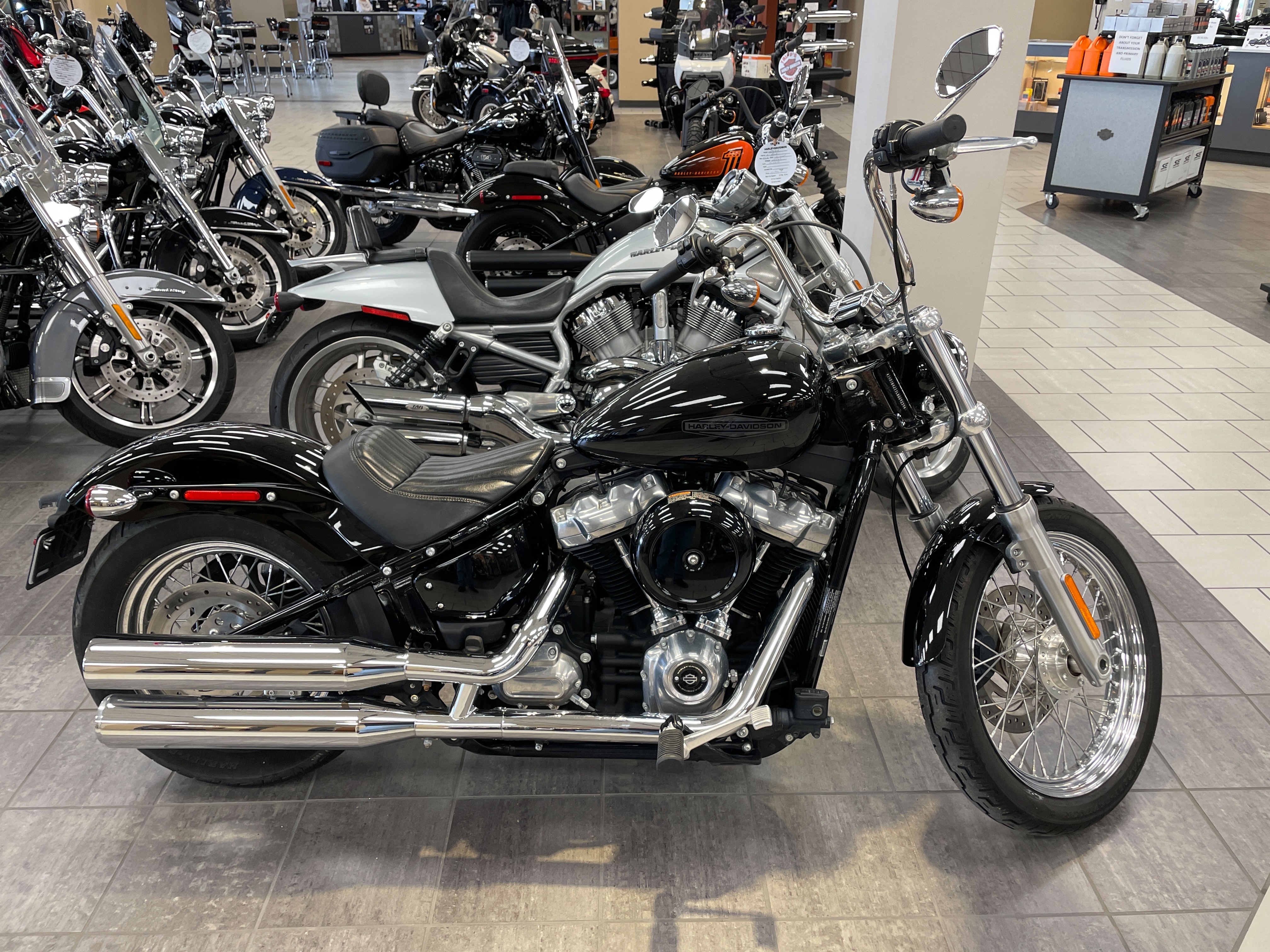 2020 Harley-Davidson Softail Standard at Tripp's Harley-Davidson