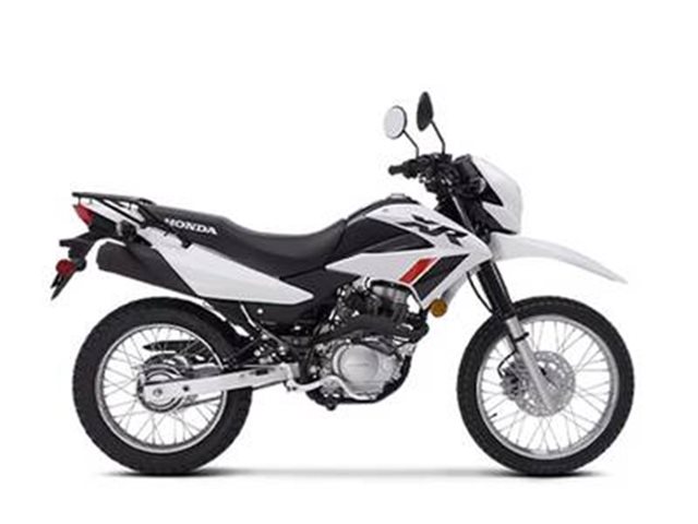 2024 Honda XR 150L at Eastside Honda