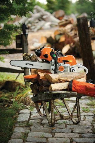 2024 STIHL MS311 at McKinney Outdoor Superstore