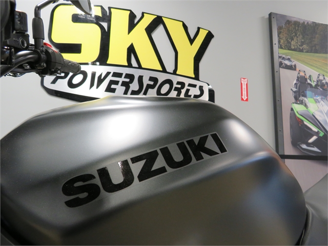 2022 Suzuki SV 650 ABS at Sky Powersports Port Richey
