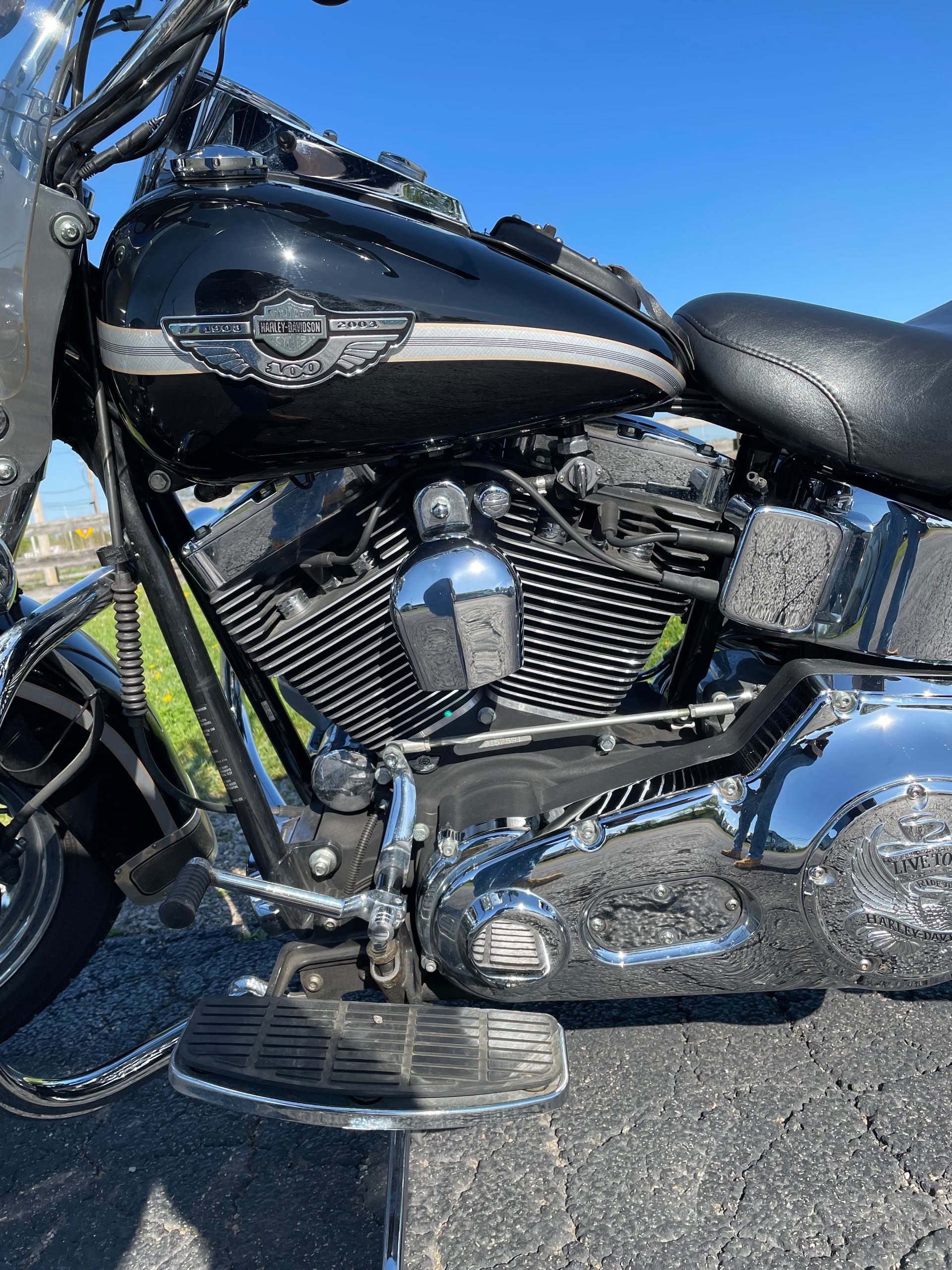 2003 Harley-Davidson FLSTC - VIVID BLACK at Randy's Cycle