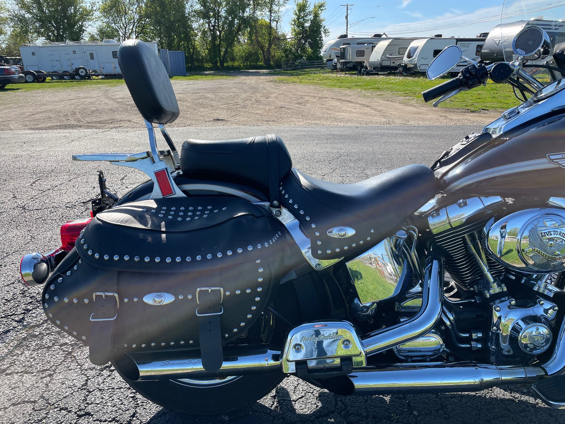 2003 Harley-Davidson FLSTC - VIVID BLACK at Randy's Cycle