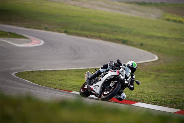 2025 Kawasaki Ninja ZX-6R Base at Ehlerding Motorsports