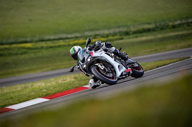2025 Kawasaki Ninja ZX-6R Base at Ehlerding Motorsports