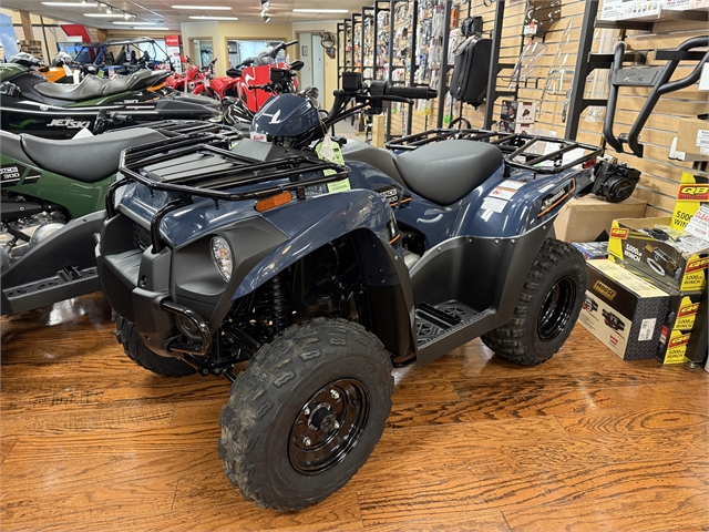 2025 Kawasaki Brute Force 300 at Ehlerding Motorsports