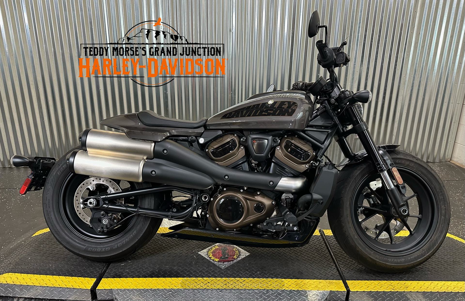 2023 Harley-Davidson Sportster at Teddy Morse's Grand Junction Harley-Davidson