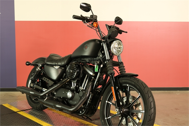 2020 Harley-Davidson Sportster Iron 883 at Texas Harley